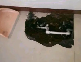 邱县卫生间测漏水多少钱